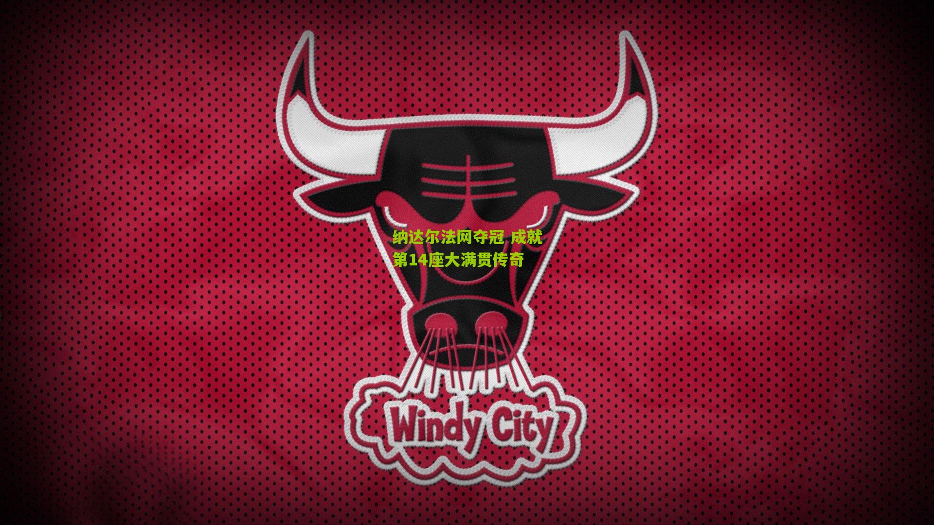 纳达尔法网夺冠 成就第14座大满贯传奇