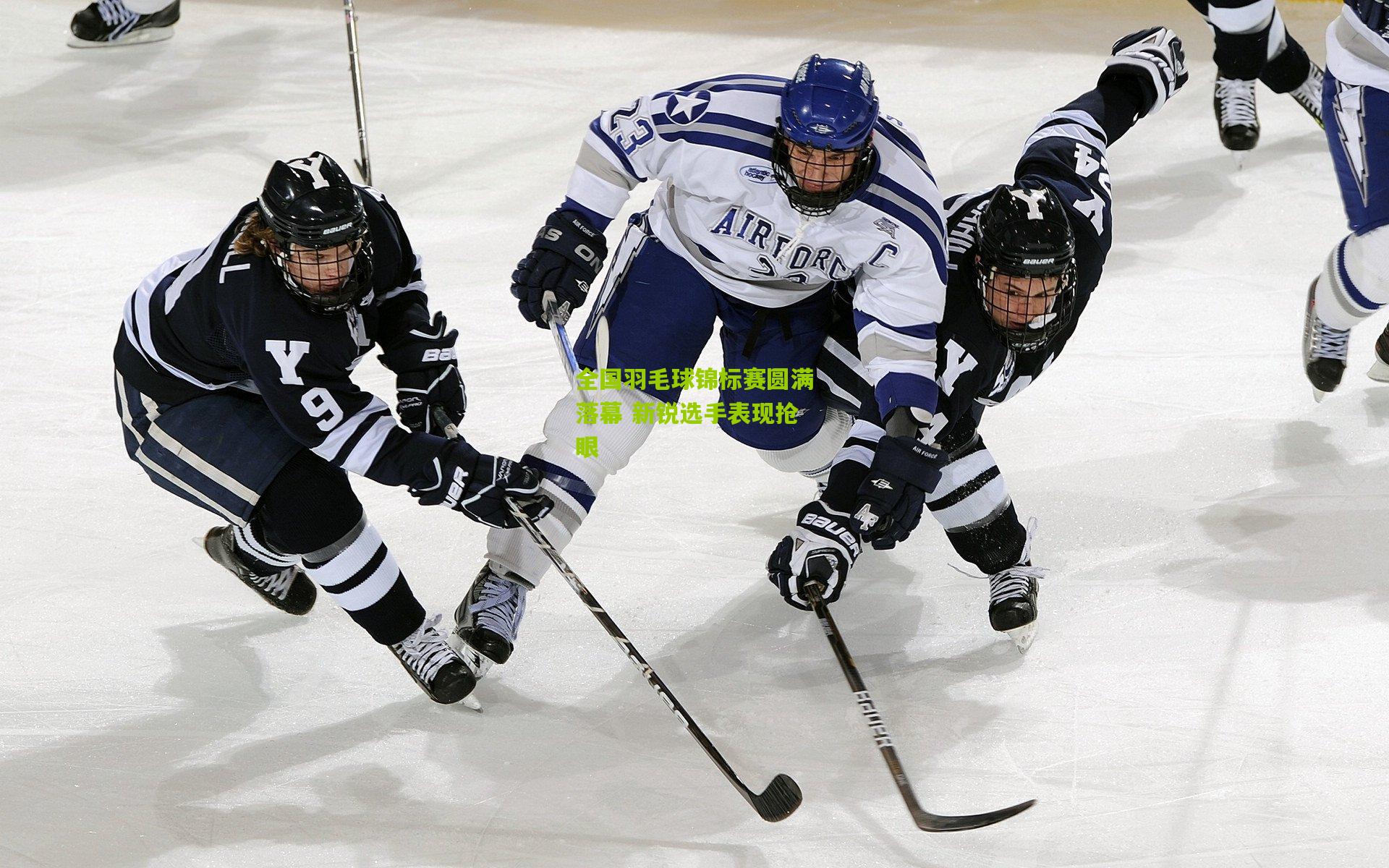 开云体育下载-全国羽毛球锦标赛圆满落幕 新锐选手表现抢眼