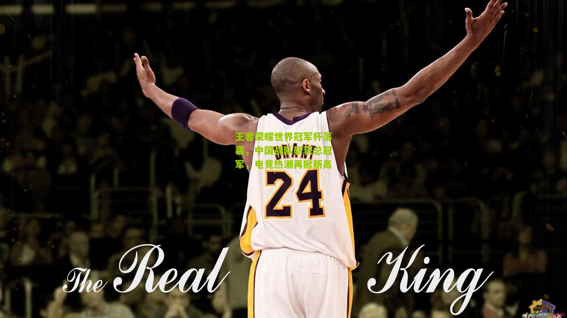 开云体育下载：王者荣耀世界冠军杯落幕，中国战队斩获总冠军，电竞热潮再掀新高